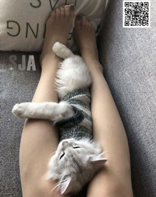 四虎电影院三级麻豆_DVD高清视频观看