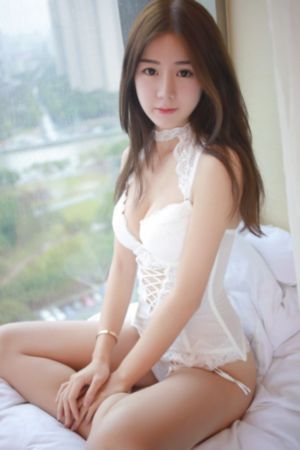 红猫大本营免费观看入口_BD国语在线播放观看